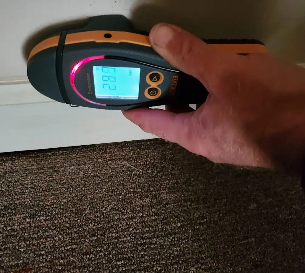 Moisture detection at baseboard during Mold Inspection & Testing in Meridian